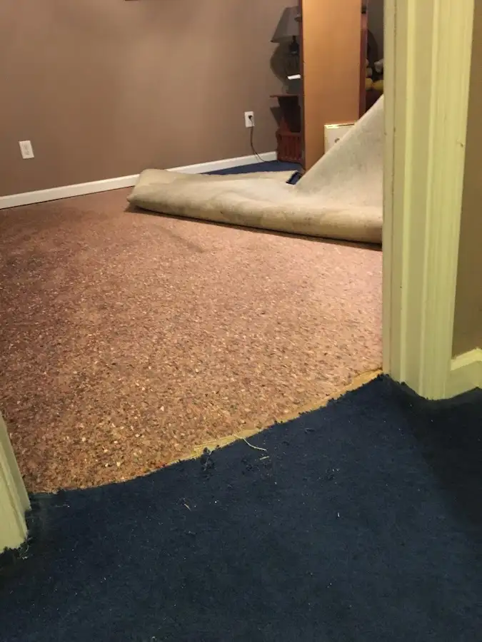 Carpet pad removal revealing water damage during Drying & Dehumidification in Penn